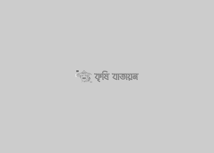 মেী চাষ