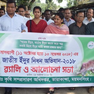 ইদুর নিধন অভিযান ২০১৮